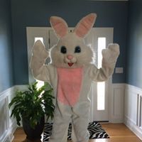 holiday costumes