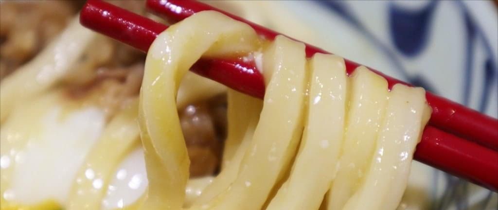 udon noodle