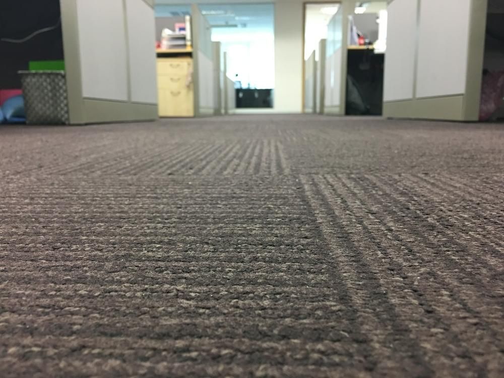 Carpet In Office Floor