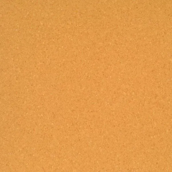 Tanami