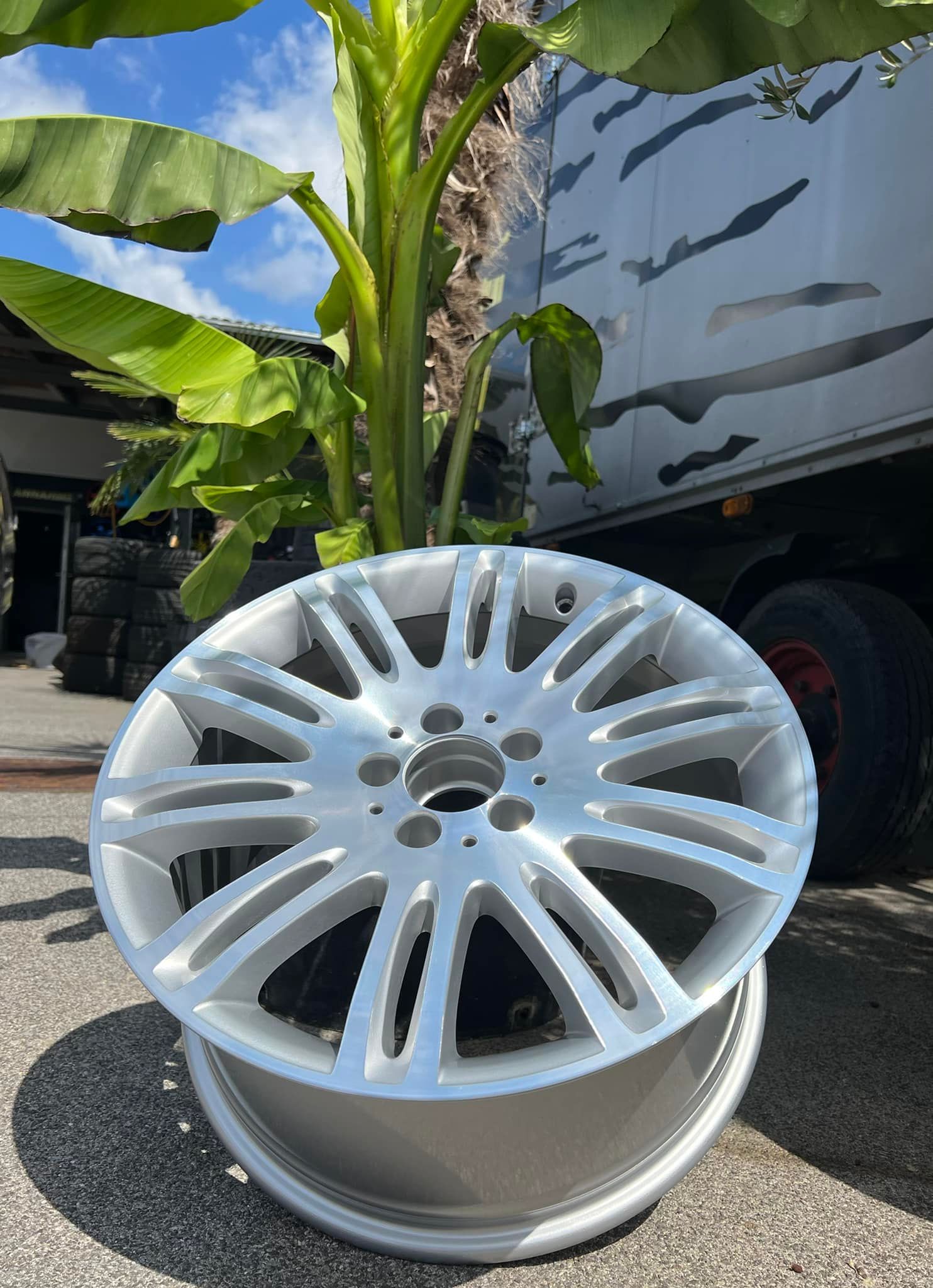 ein silbernes Autorad steht vor einem Bananenbaum