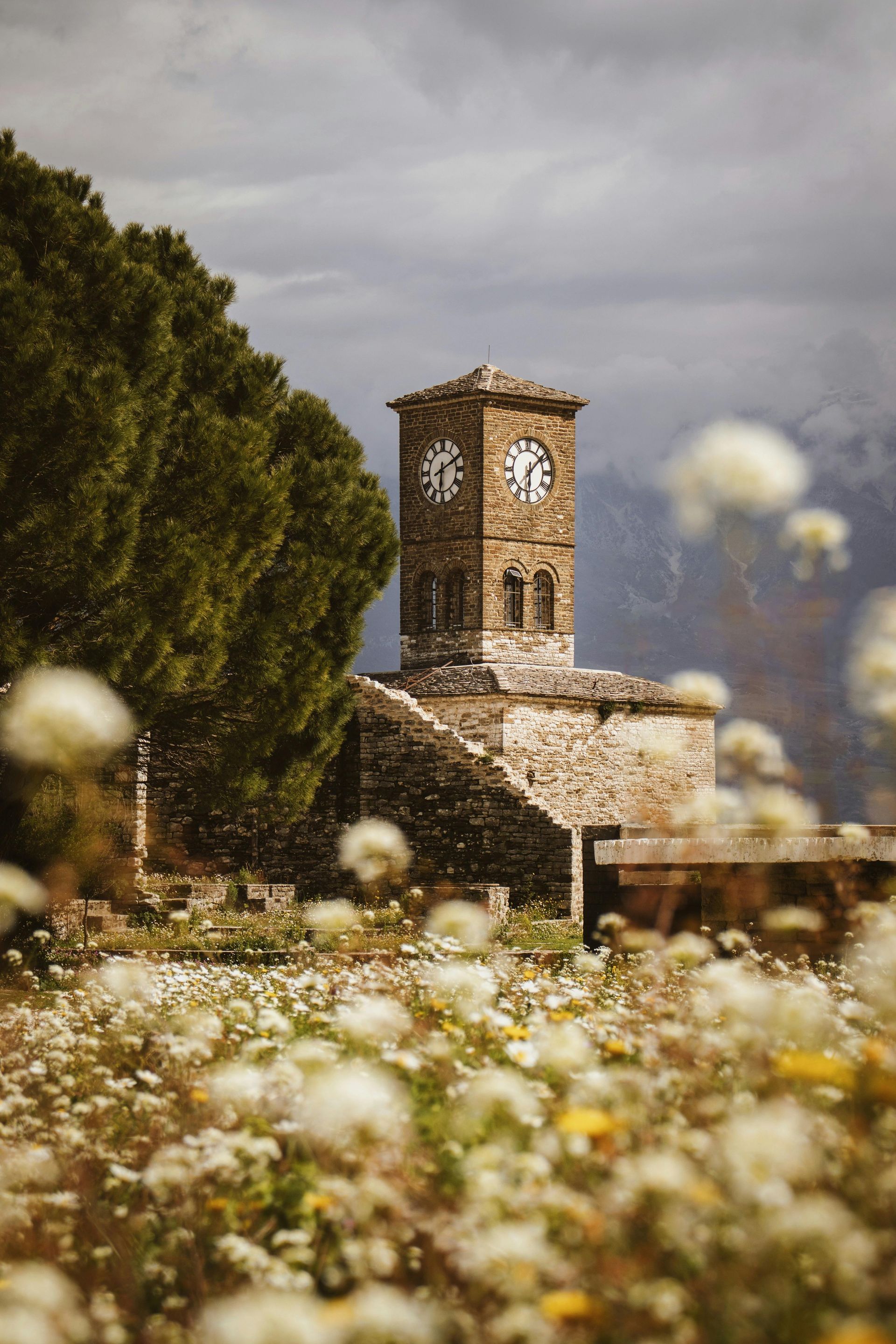 C'è una torre dell'orologio in mezzo a un campo di fiori nelle montagne albanesi