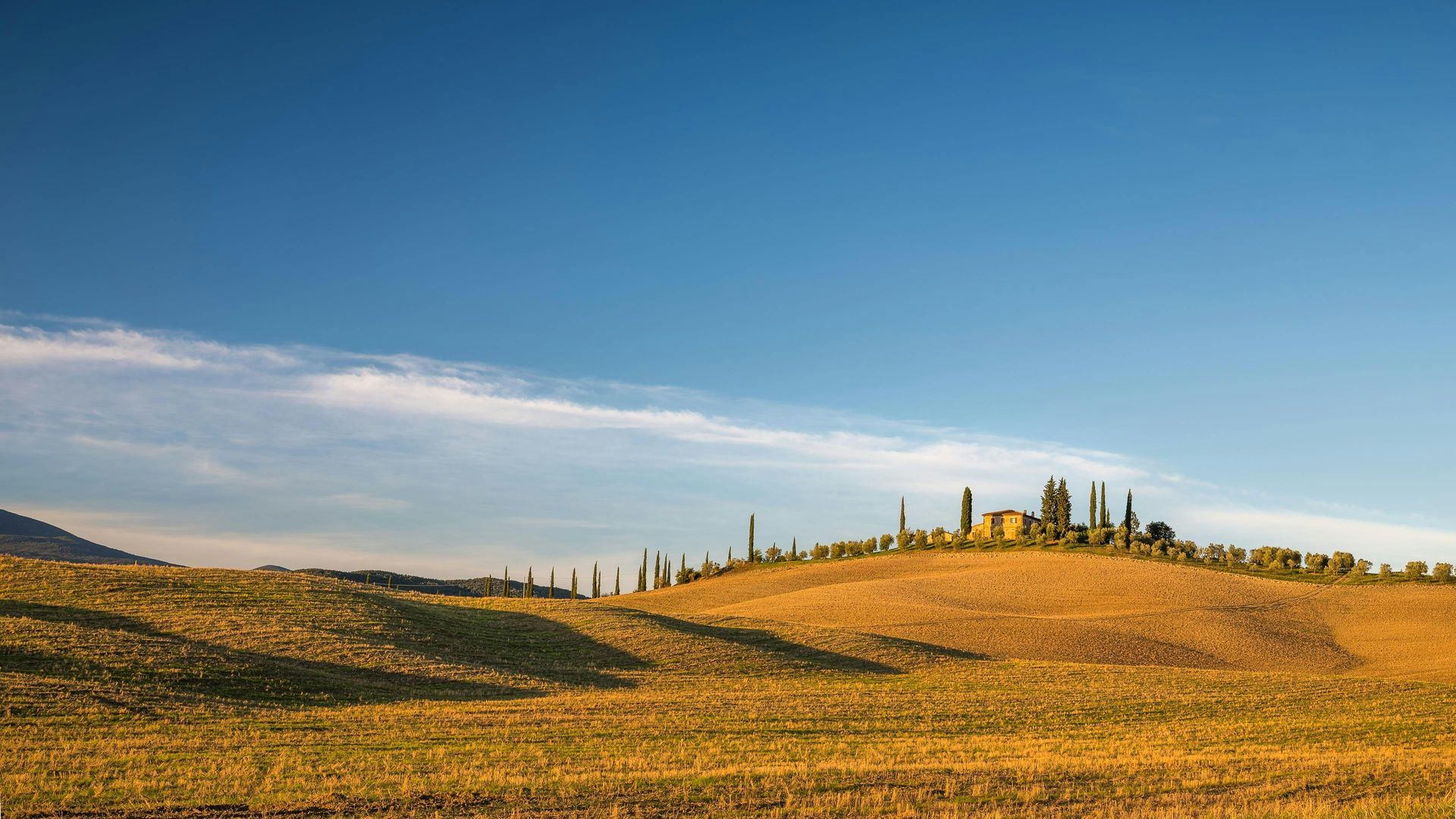 Pendio dorato con edifici e alberi sotto un cielo azzurro e limpido.