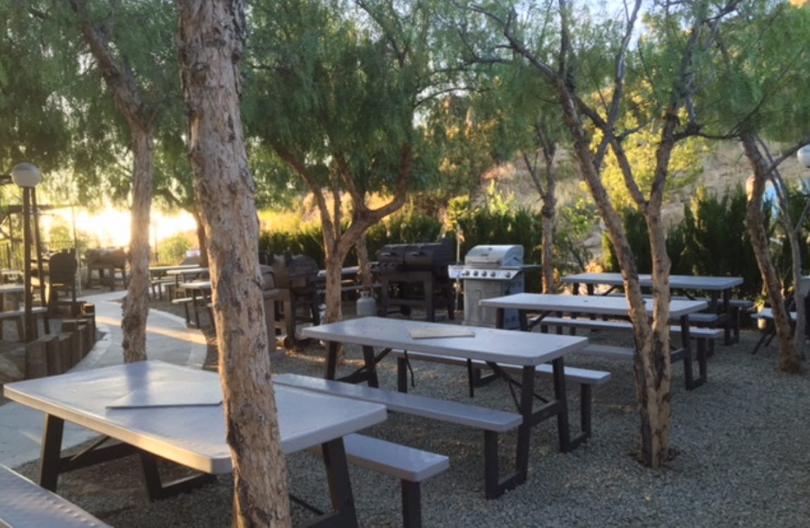 A picnic area with tables and benches surrounded by trees