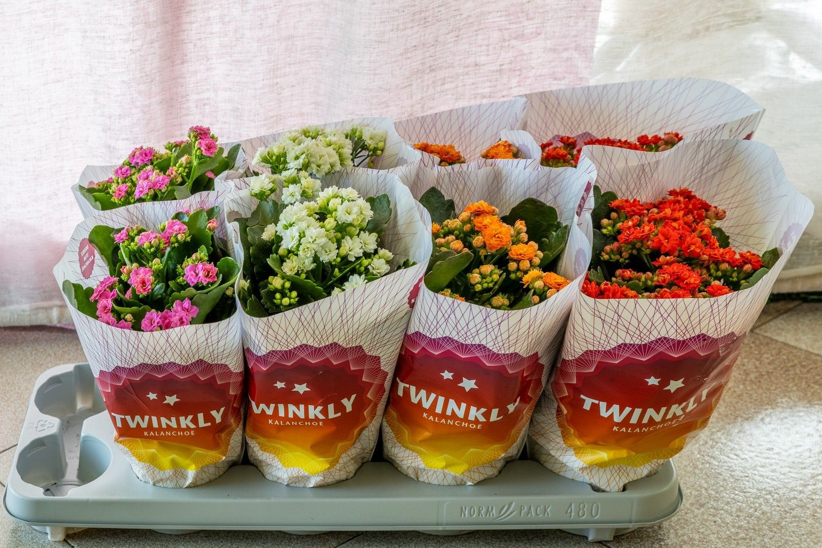 Un mazzo di fiori in vaso è appoggiato su un vassoio.