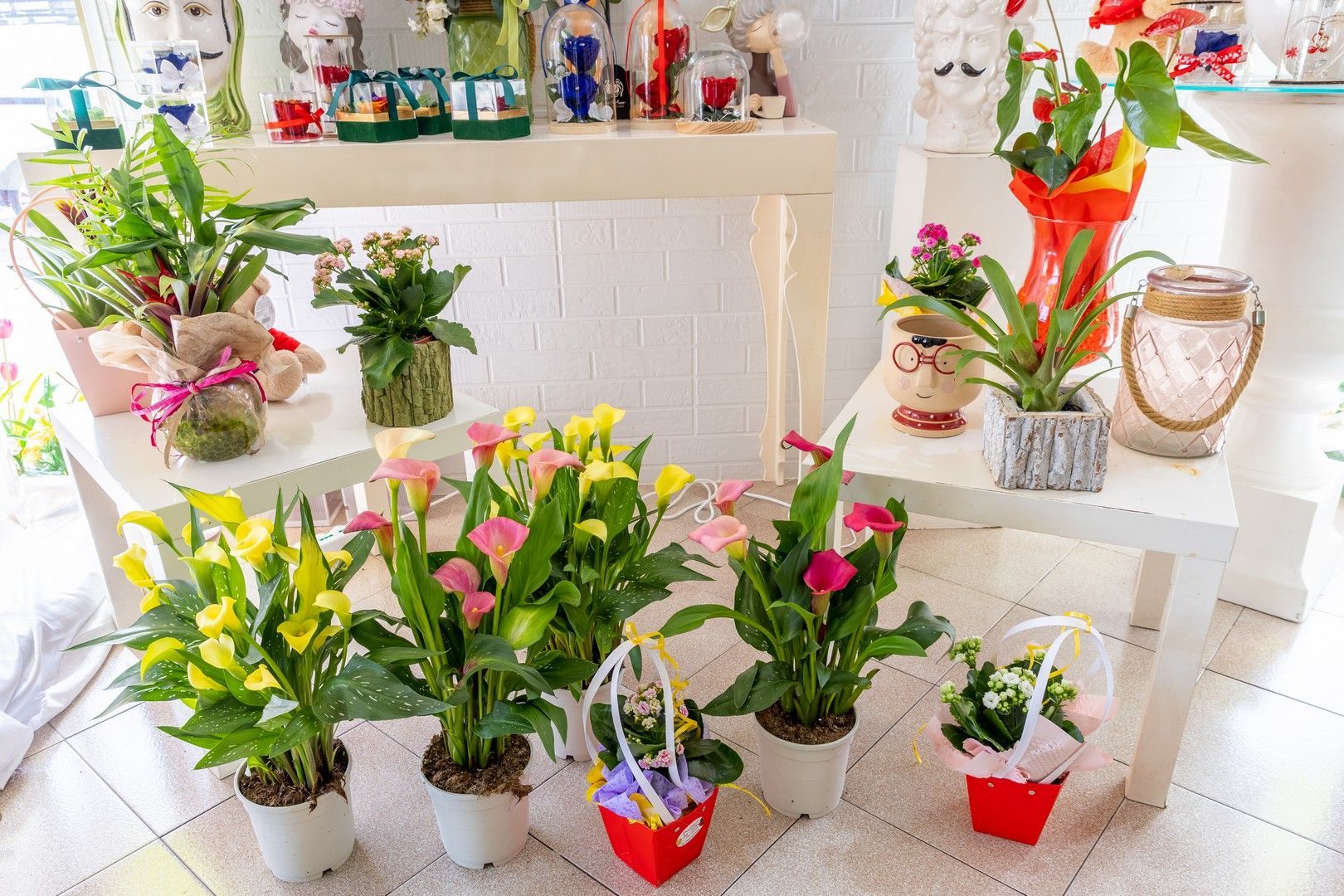 Un mucchio di piante in vaso è appoggiato su un tavolo in una stanza.