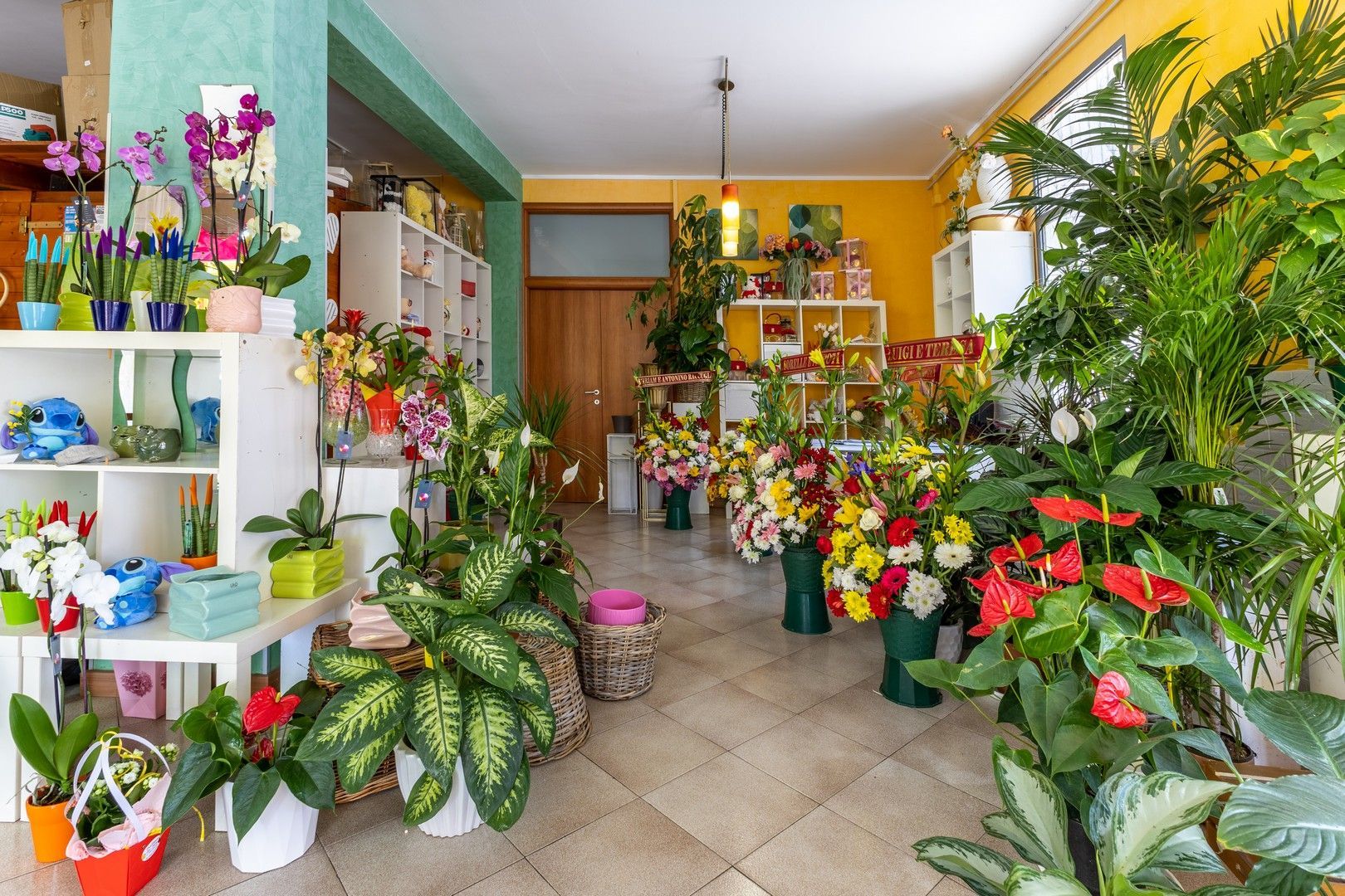 Una stanza piena di piante e fiori in vaso