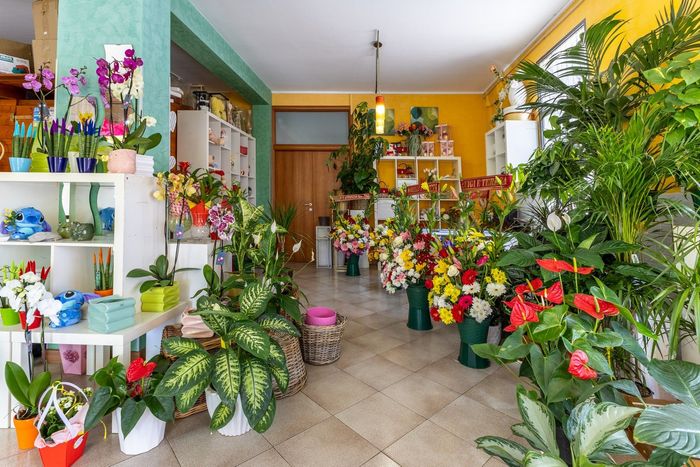organizzazione funerale dell'agenzia funebre di Parma
