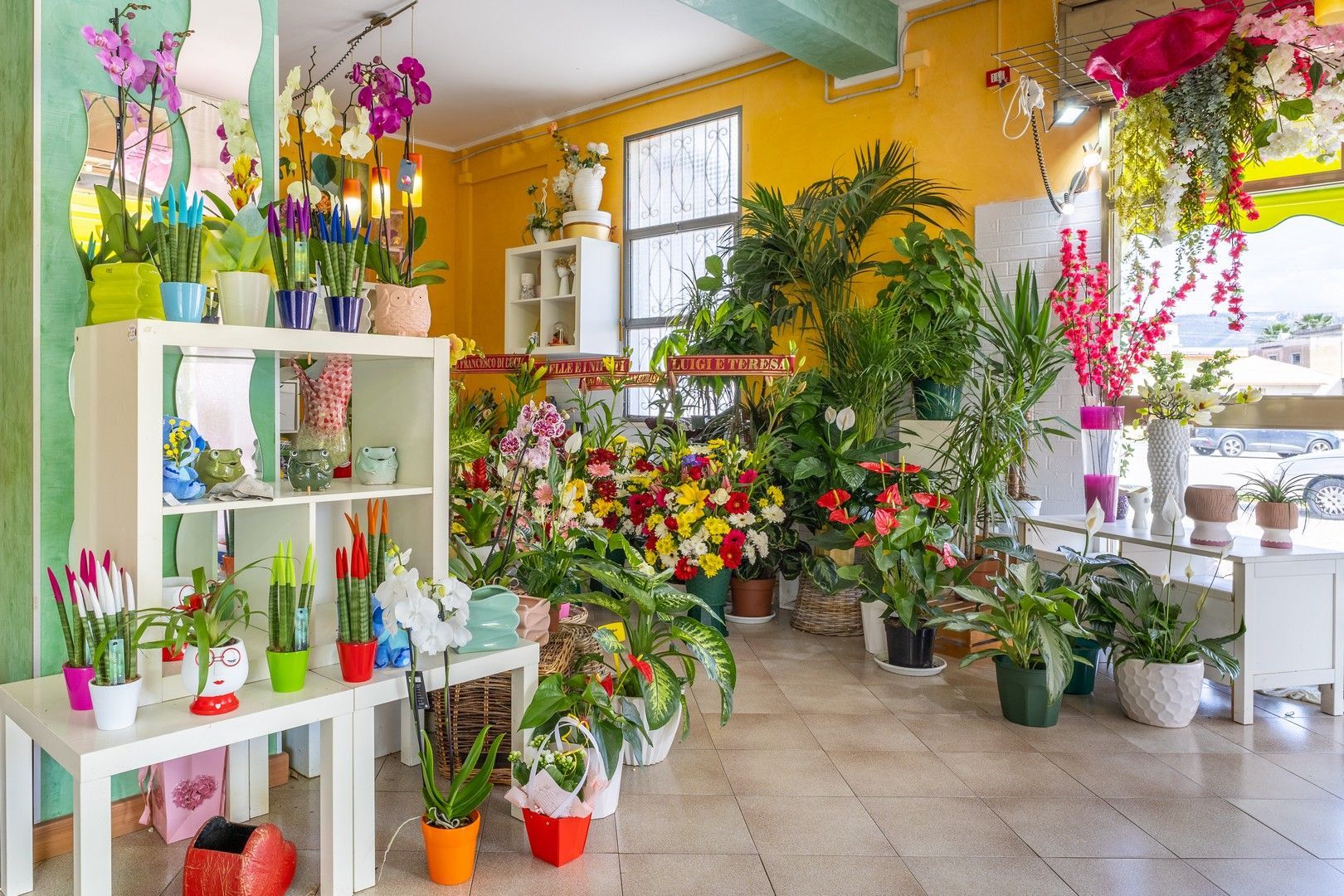 Un negozio di fiori pieno di piante in vaso e fiori.