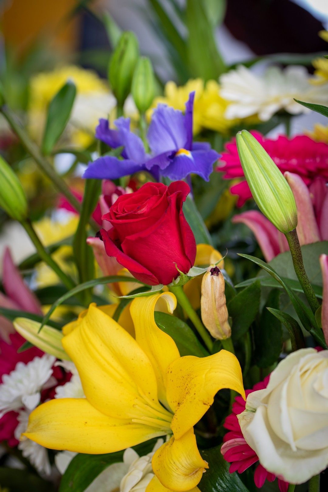 Un primo piano di un bouquet di fiori colorati con una rosa rossa al centro.