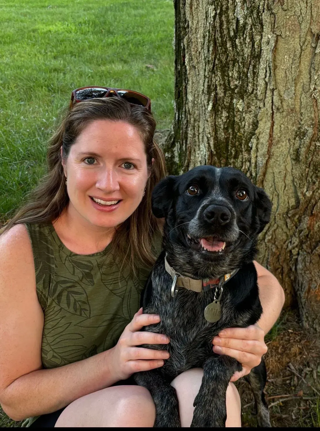 Types of Pet Care Services Available in the Mainline