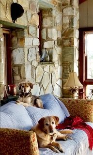 Dog Boarding with a Family | Trusted pet care in Philadelphia PA and Wilmington, DE