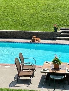 Dog Boarding with a Family | Serving Wilmington, Delaware, Philadelphia and the Main Line PA