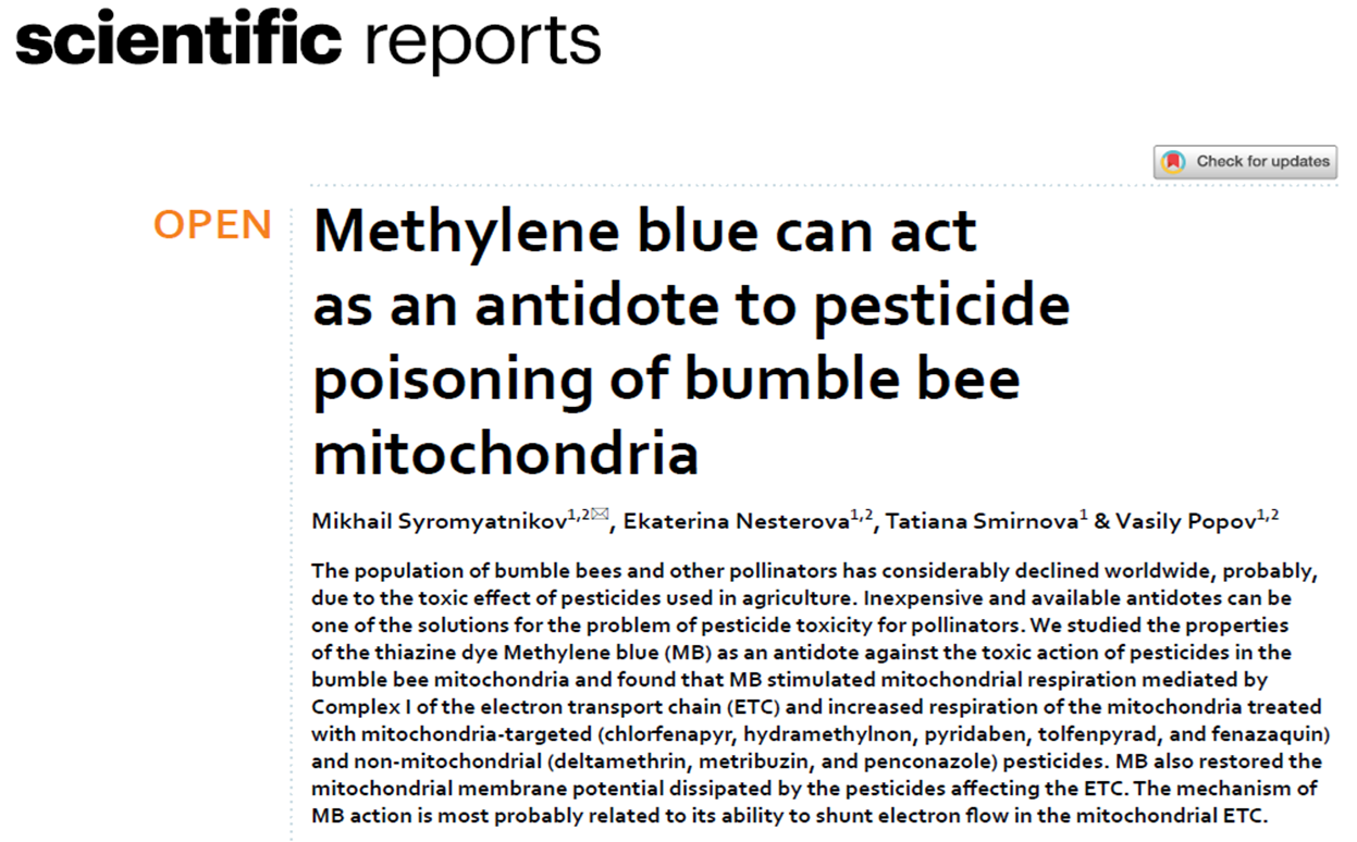 A scientific report about methylene blue can act as an antidote to pesticide poisoning of bumble bee mitochondria