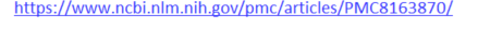 A purple line on a white background that says `` https : // www.