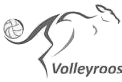 A black and white drawing of a cat holding a volleyball.