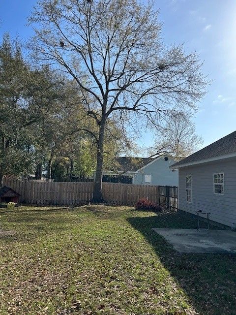 A large, bare tree stands in a backyard behind a wooden fence, adjacent to the side of a light-colored house.