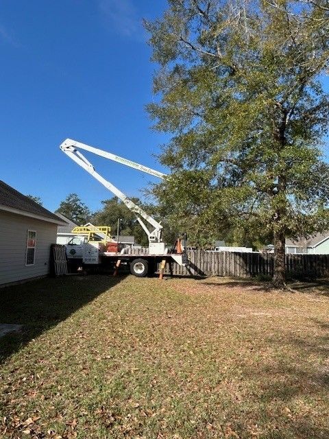 A utility bucket truck parked in a residential yard next to a tall tree and a wooden fence under a clear blue sky.
