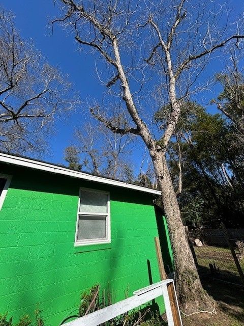 A vibrant green cinder block house exterior sits beneath a tall, leafless deciduous tree against a bright blue sky.