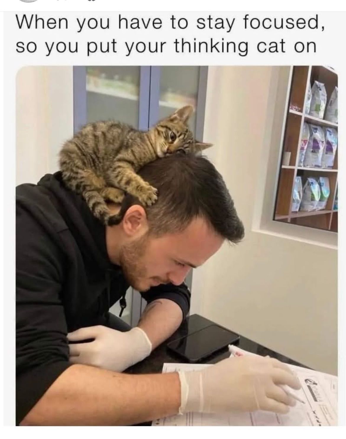Man wearing gloves with a cat on his head, focused at a desk.