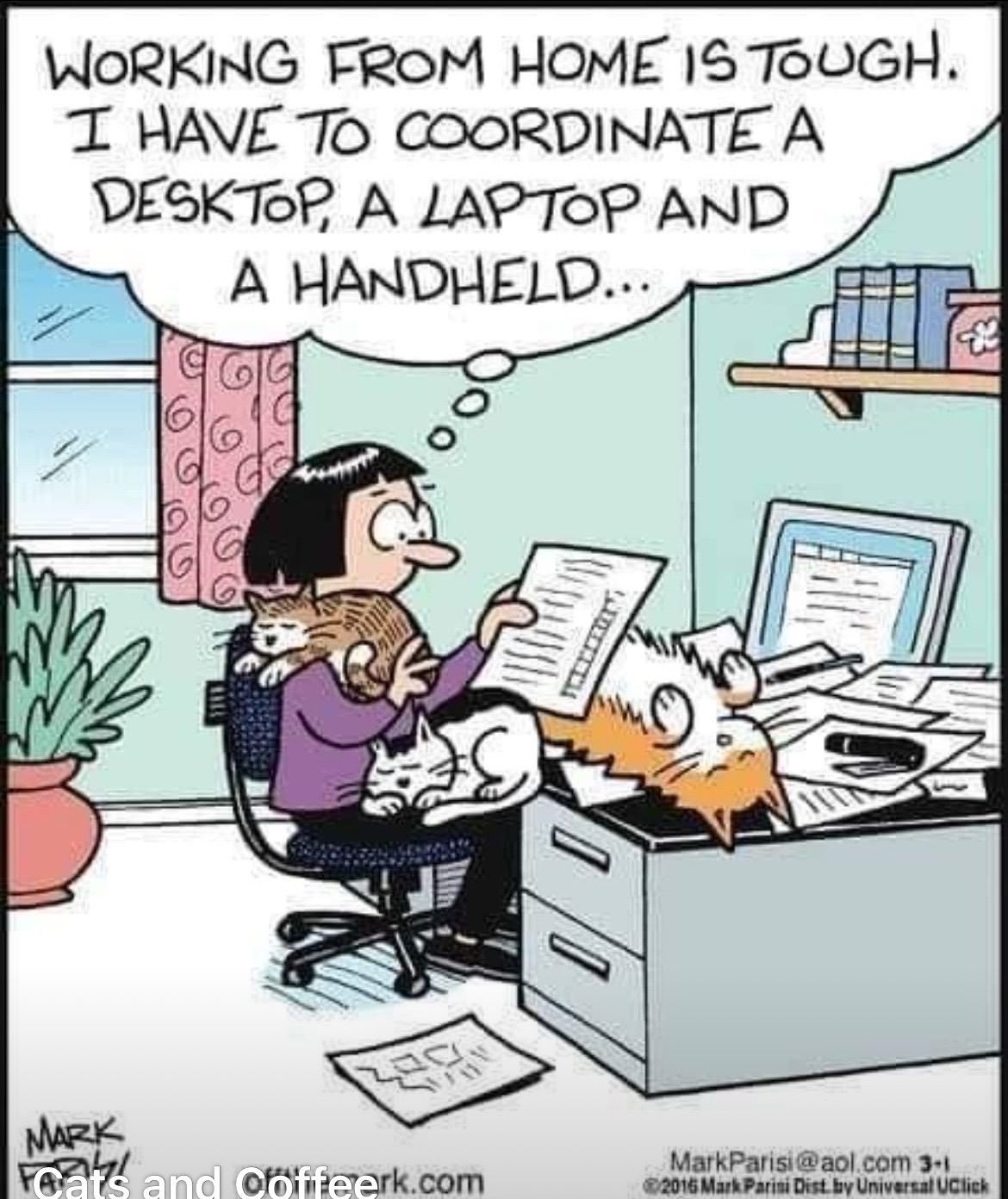 Orange tabby cat sitting on a wooden surface, with a blurred garden background of purple and green.