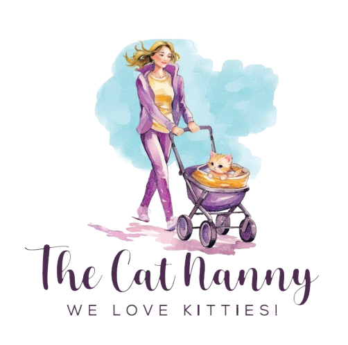 A woman is pushing a stroller with a cat in it.