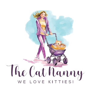 A woman is pushing a stroller with a cat in it.