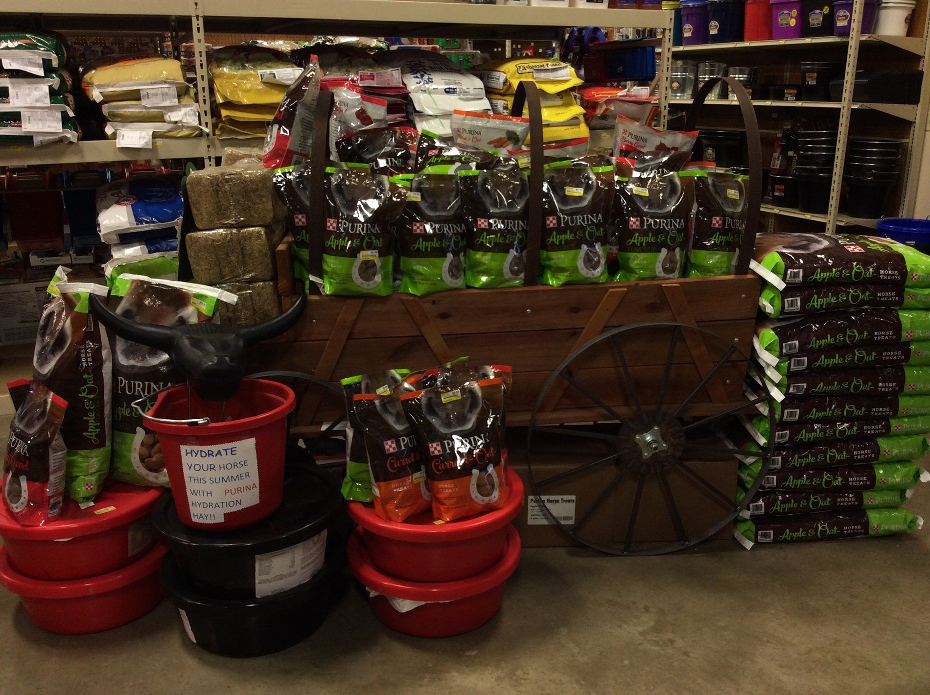 Gallery San Juan Capistrano, CA (949) 2485300