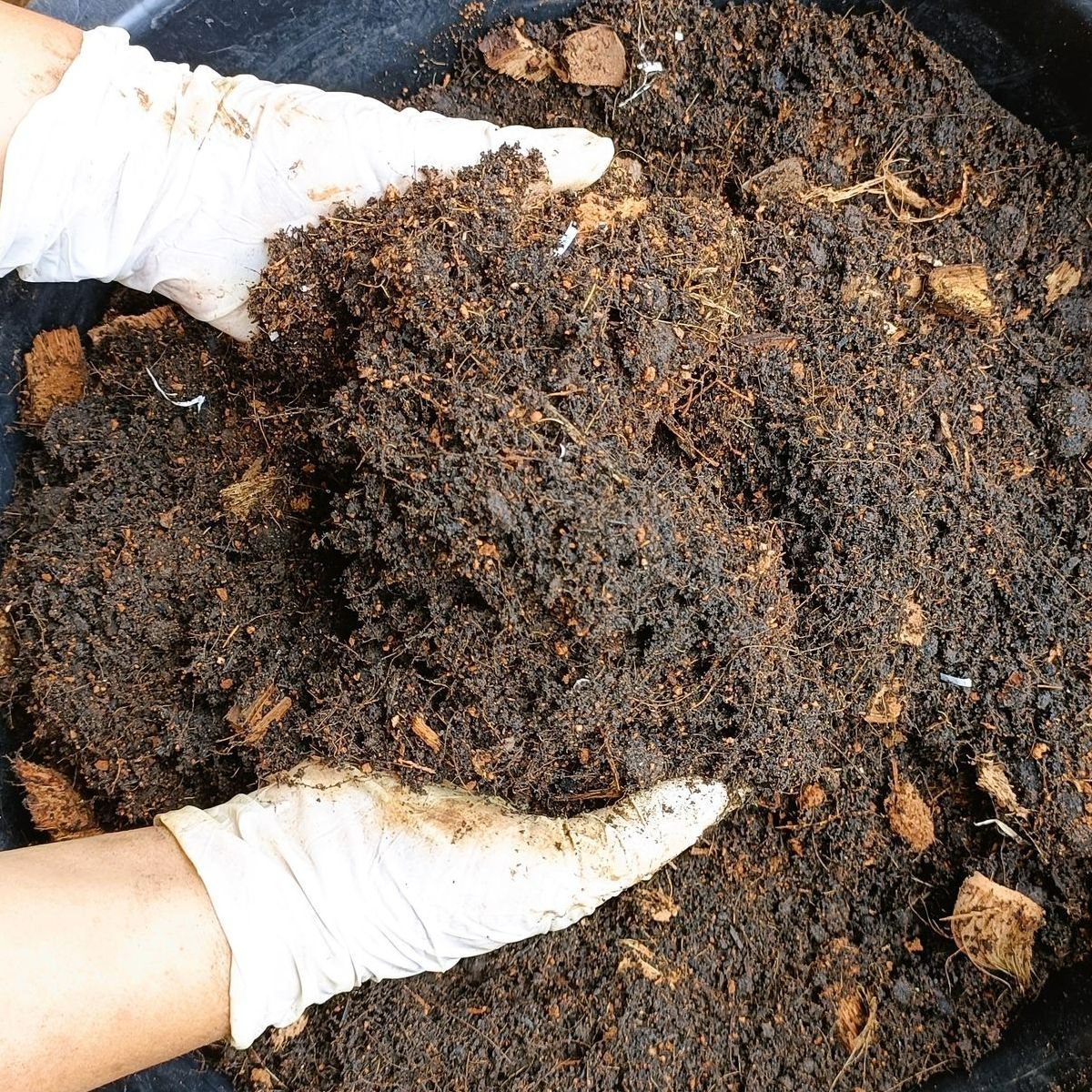 A Person Wearing White Gloves is Holding a Bowl of Dirt — Hothams In Bathurst, NSW