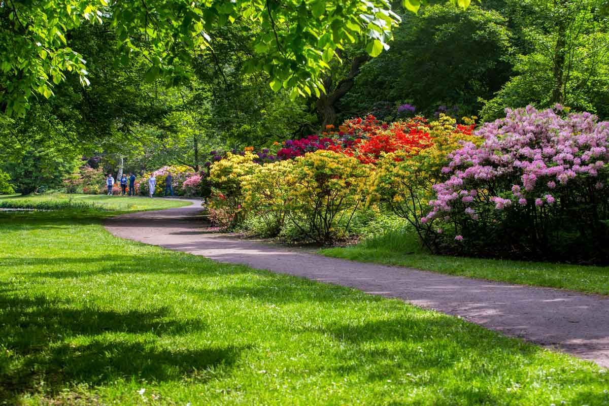 A Path in a Park Surrounded by Trees and Flowers — Hothams In Bathurst, NSW