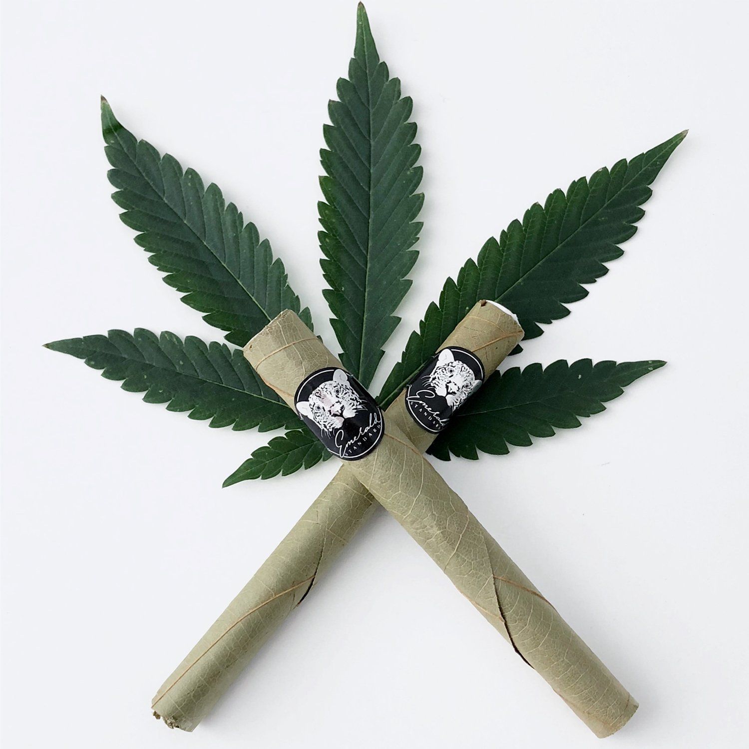 donatella azygous, creative direction, cannabis, package design, los angeles, weed, california