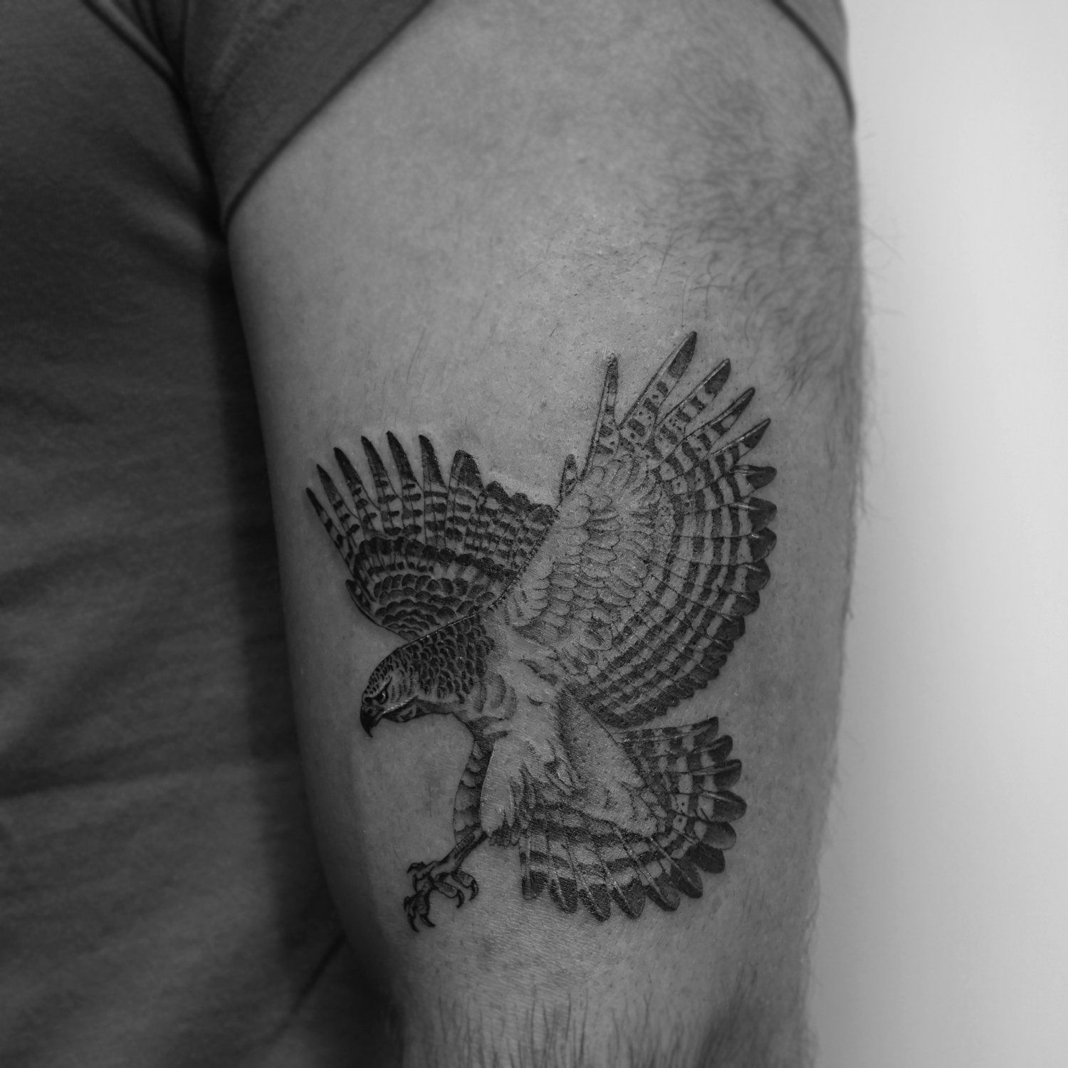 single needle tattoo, tattoo, fine line, black and grey, los angeles, female artist, donatella azygous, hawk
