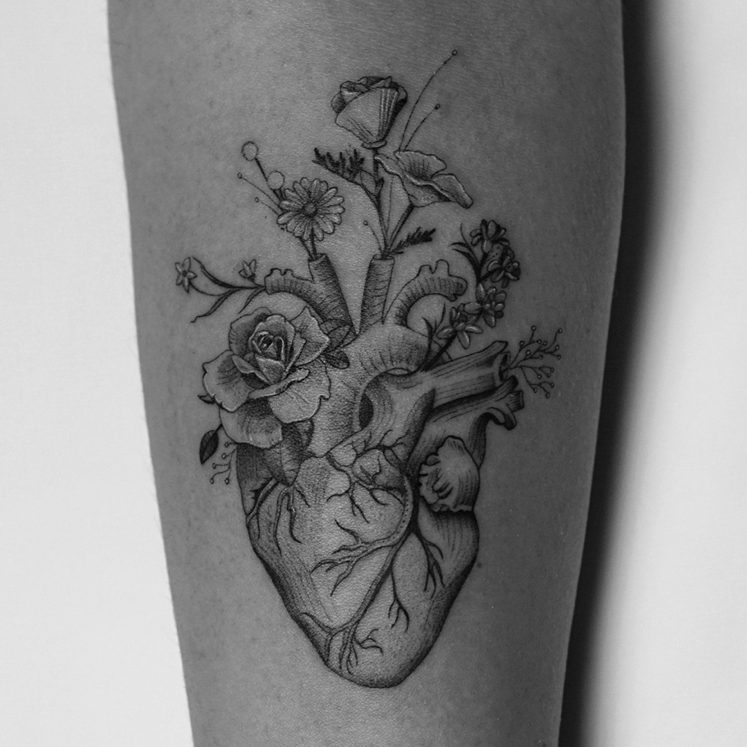 single needle tattoo, tattoo, fine line, black and grey, los angeles, female artist, donatella azygous, anatomical heart tattoo, heart