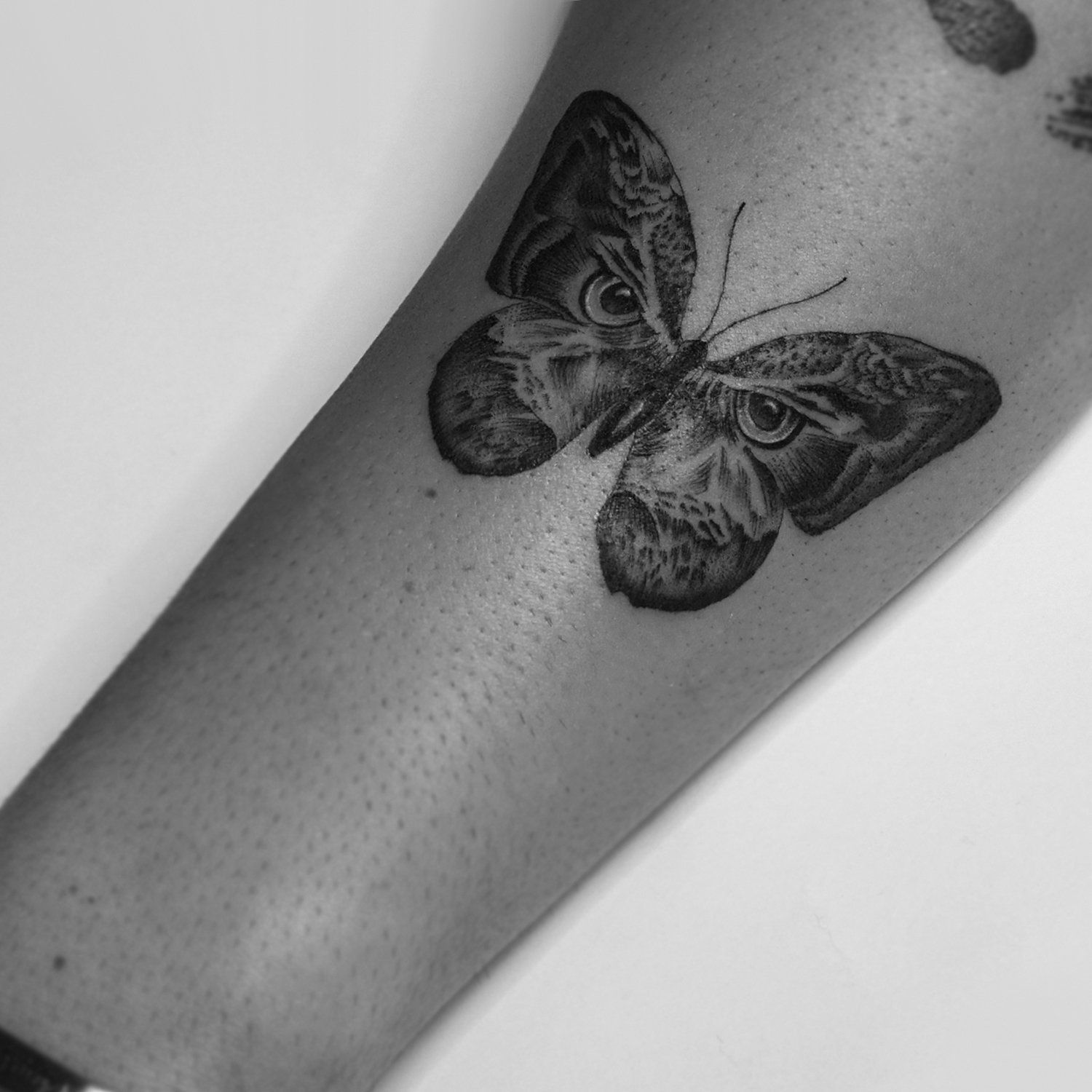 single needle tattoo, tattoo, fine line, black and grey, los angeles, female artist, donatella azygous, owl, owl tattoo