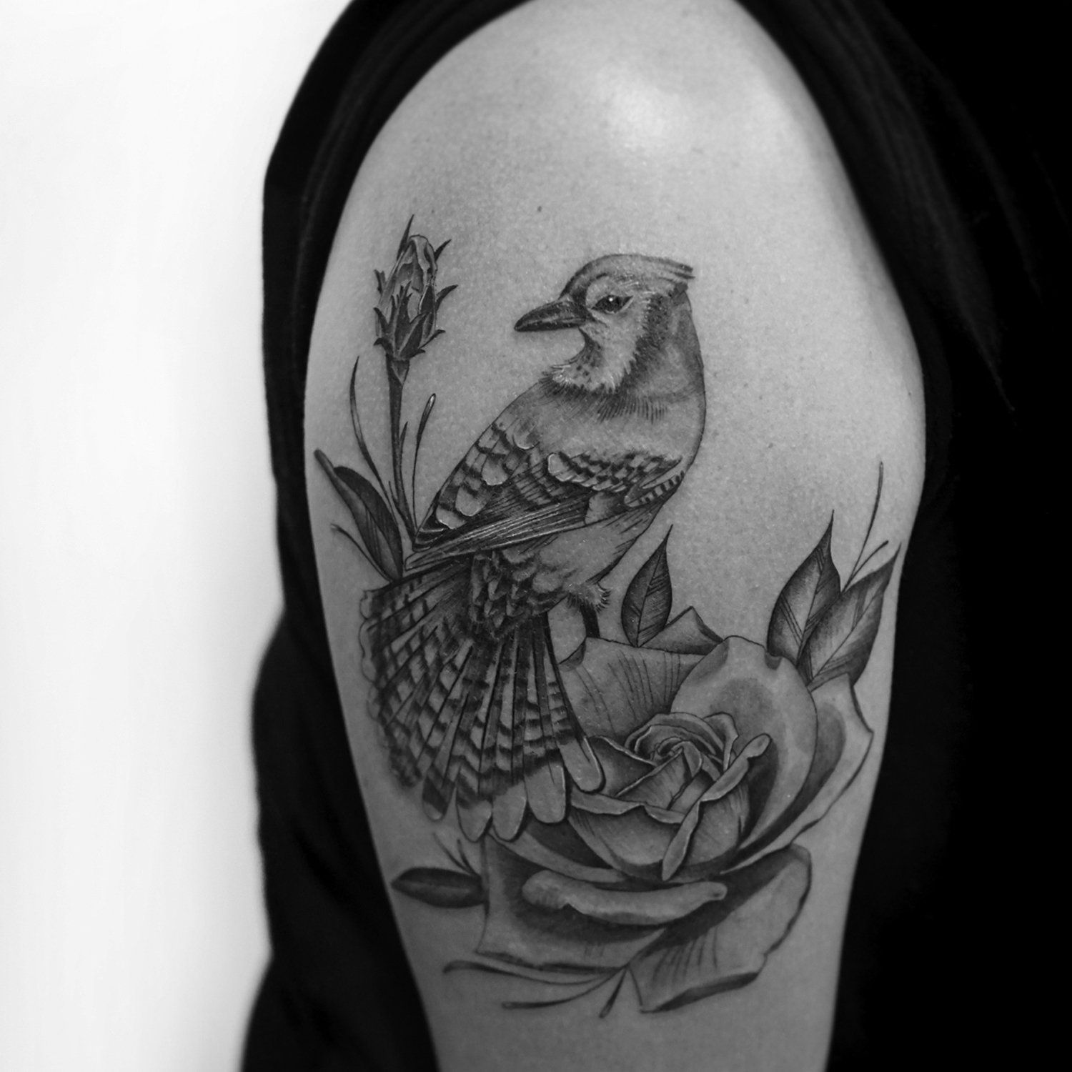 single needle tattoo, tattoo, fine line, black and grey, los angeles, female artist, donatella azygous, bird tattoo, floral, bird
