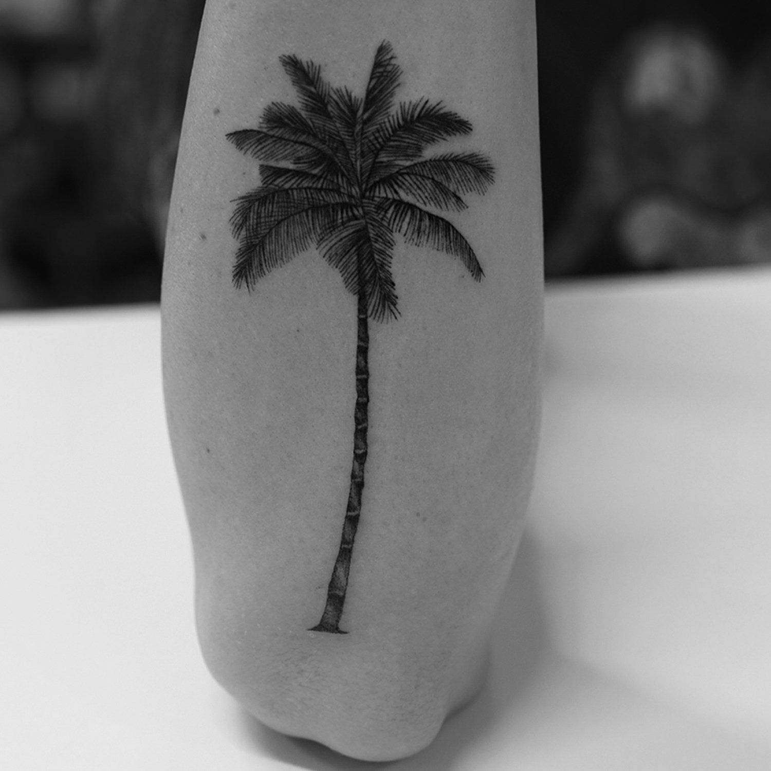 single needle tattoo, tattoo, fine line, black and grey, los angeles, female artist, donatella azygous, palm tree tattoo, california