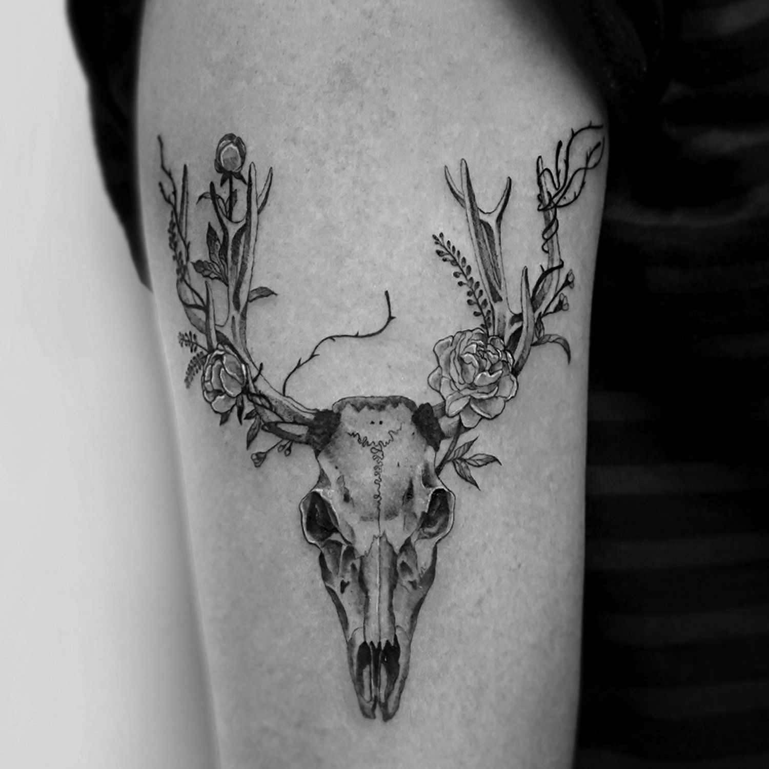 single needle tattoo, tattoo, fine line, black and grey, los angeles, female artist, donatella azygous, deer skull, deer skull tattoo, floral tattoo