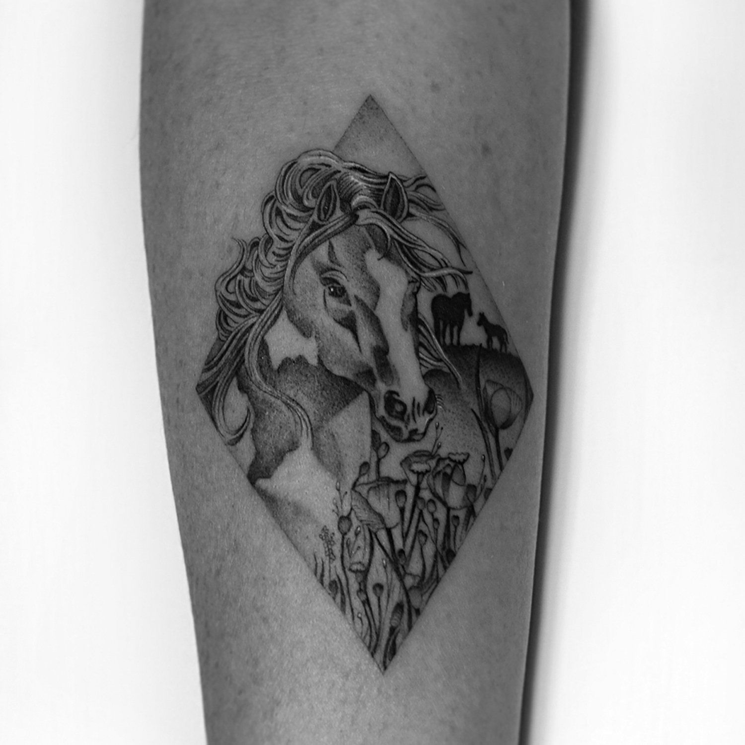 single needle tattoo, tattoo, fine line, black and grey, los angeles, female artist, donatella azygous, horse tattoo