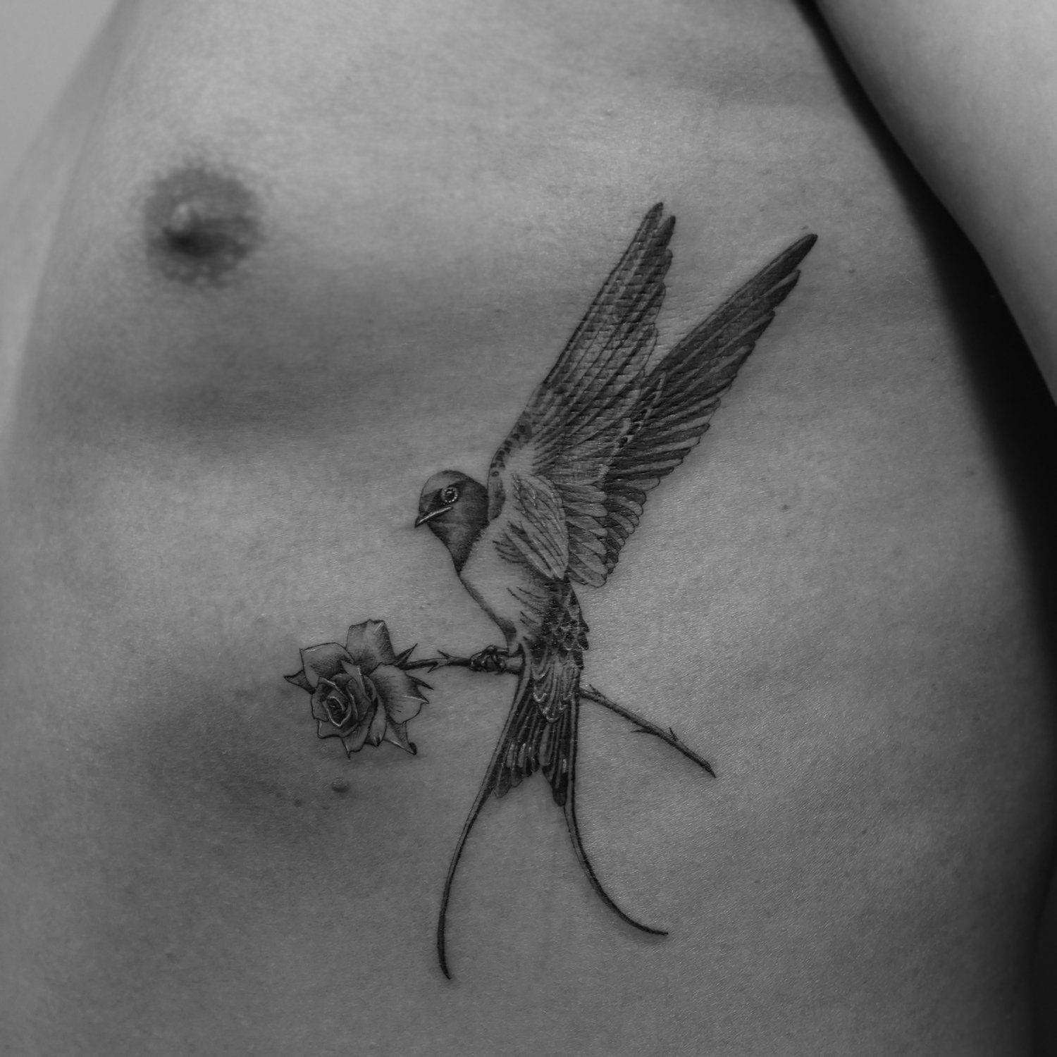single needle tattoo, tattoo, fine line, black and grey, los angeles, female artist, donatella azygous