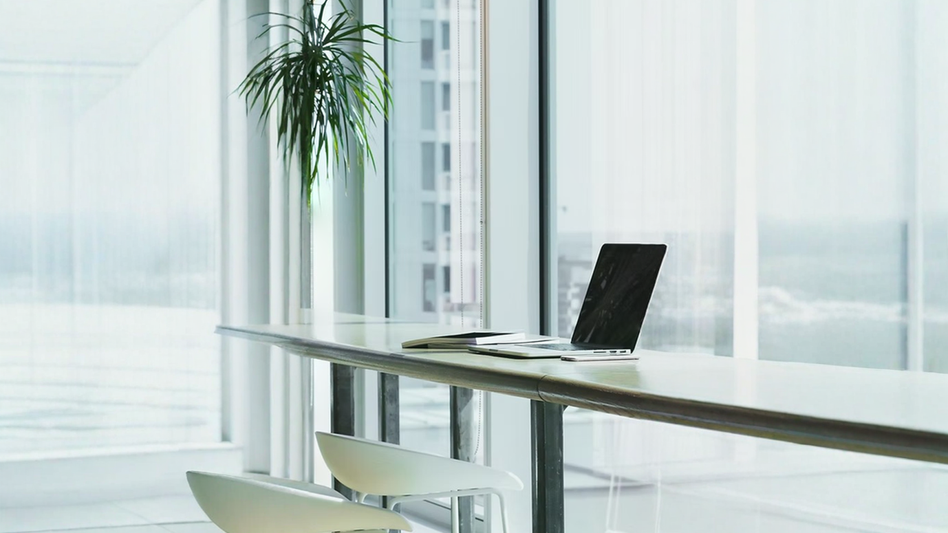 A desk with a laptop and a plant on it in an office.