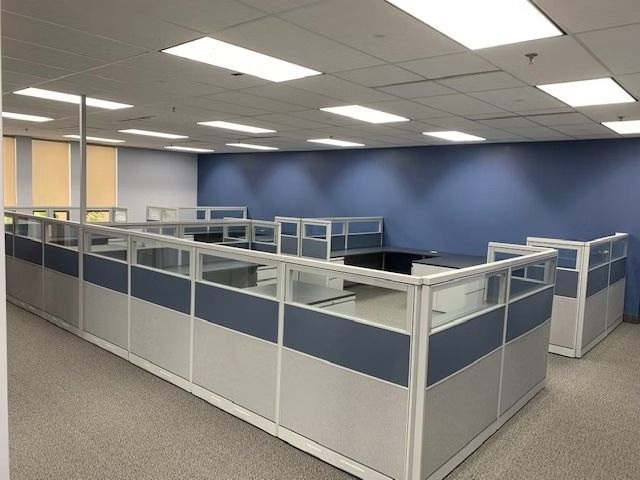 A large office with cubicles and blue walls