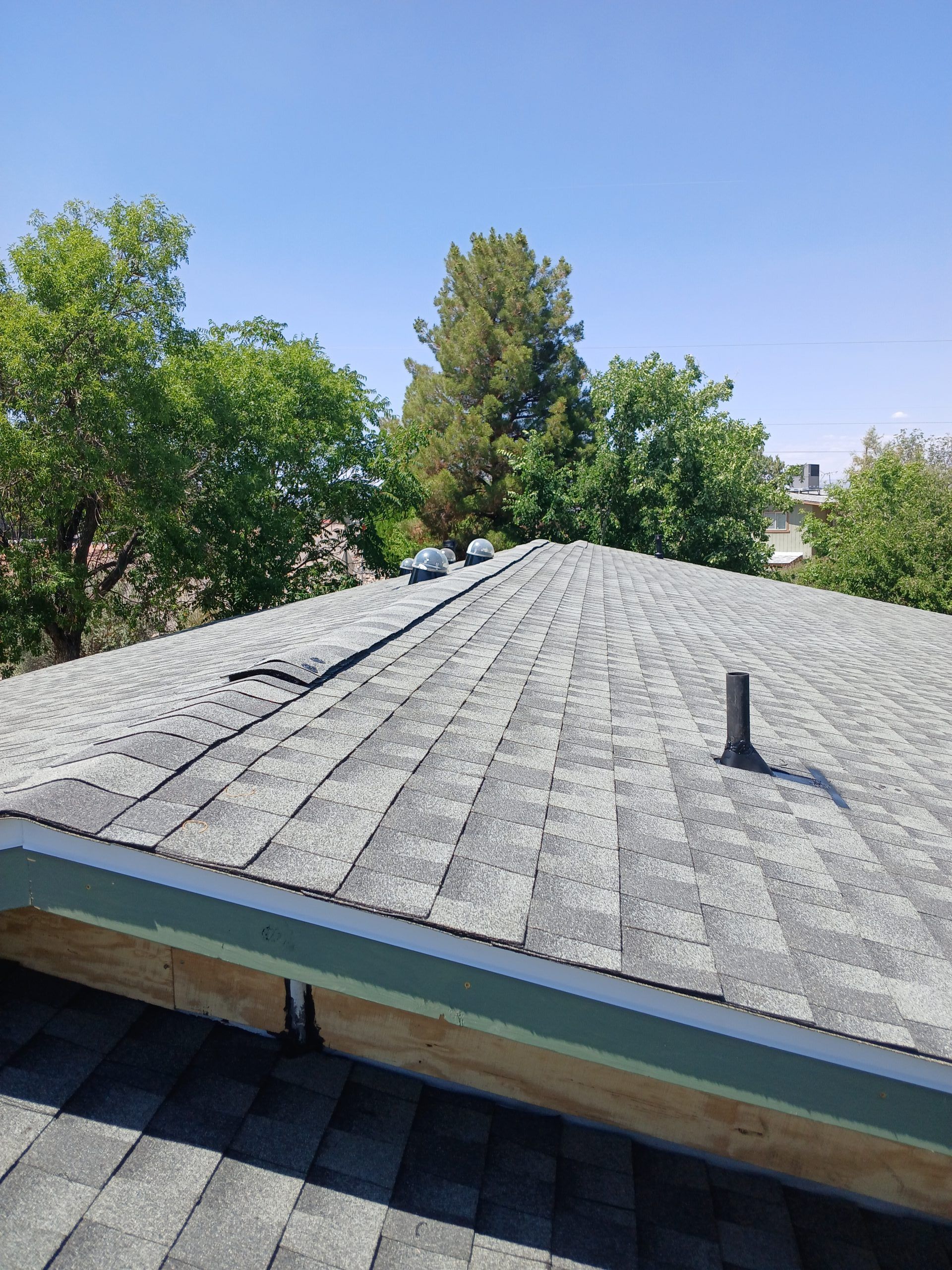 Gray shingled rooftop with a vent pipe, framed by green trees under a clear blue sky.