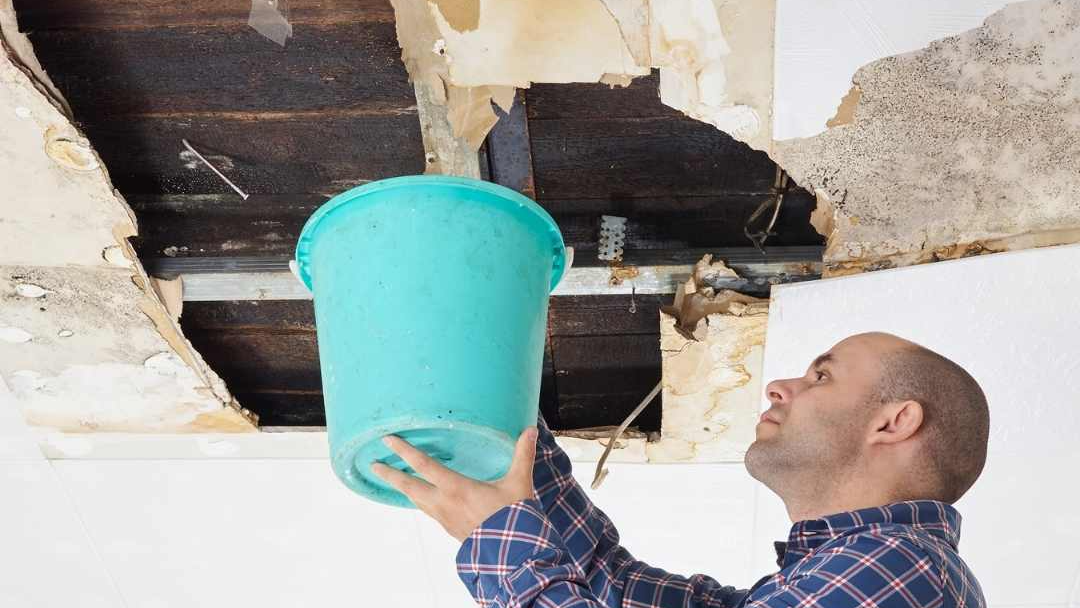Handyman holding bucket to collect leaking water from ceiling