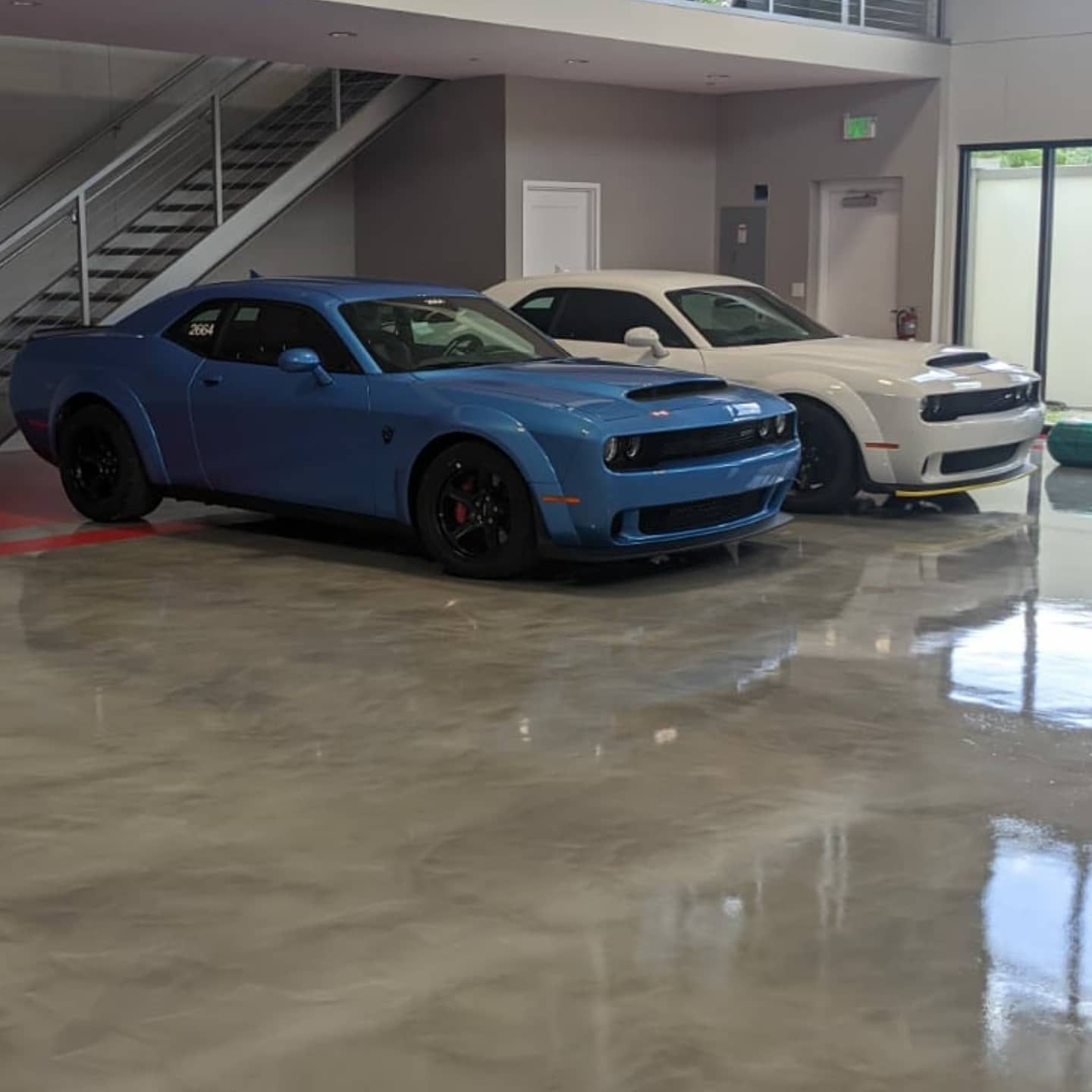 Two Dodge Challenger muscle cars: blue and white, parked indoors on a shiny concrete floor.