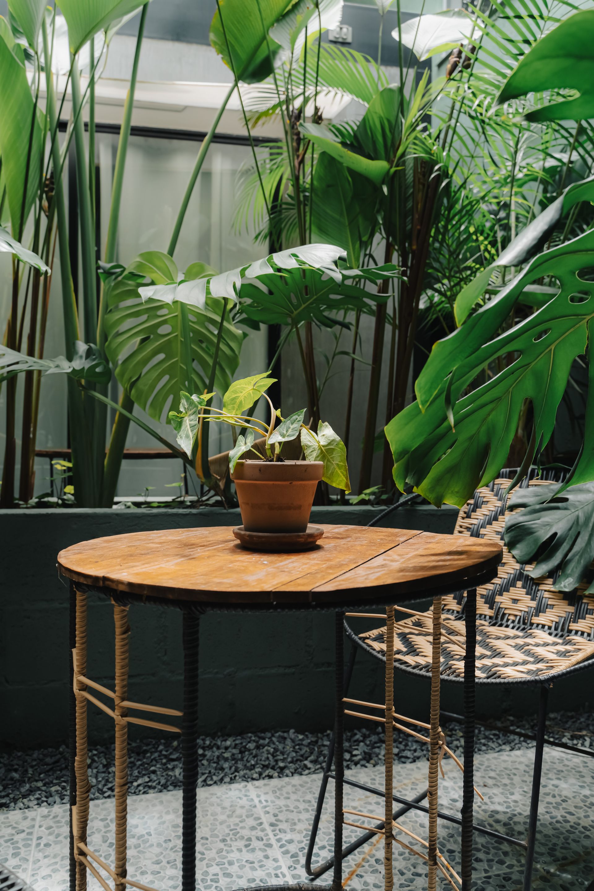 Mesa de madera con planta en maceta, rodeada de exuberante follaje verde.