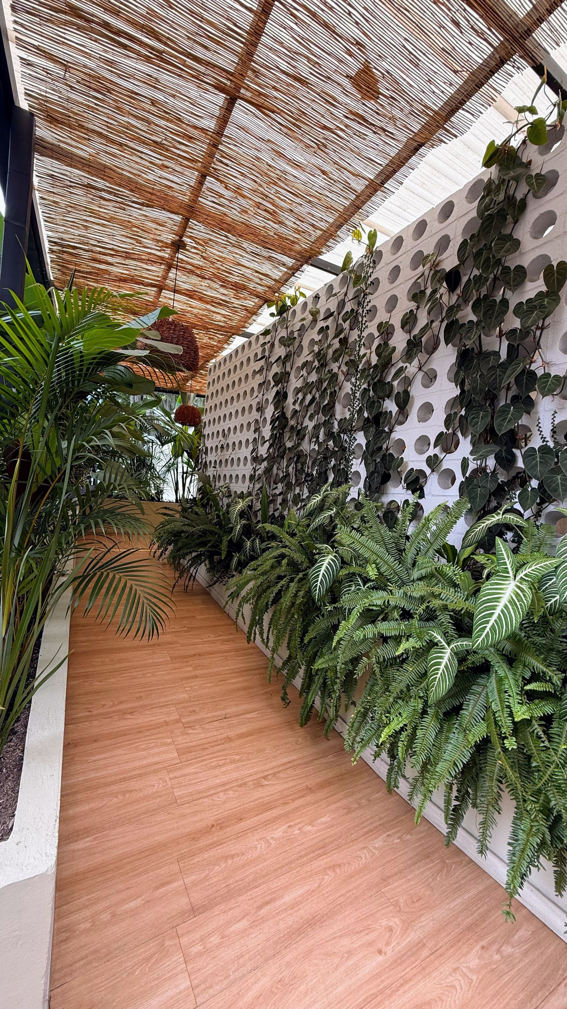 Camino bordeado de helechos y enredaderas, bajo un dosel de juncos y una pared blanca perforada.