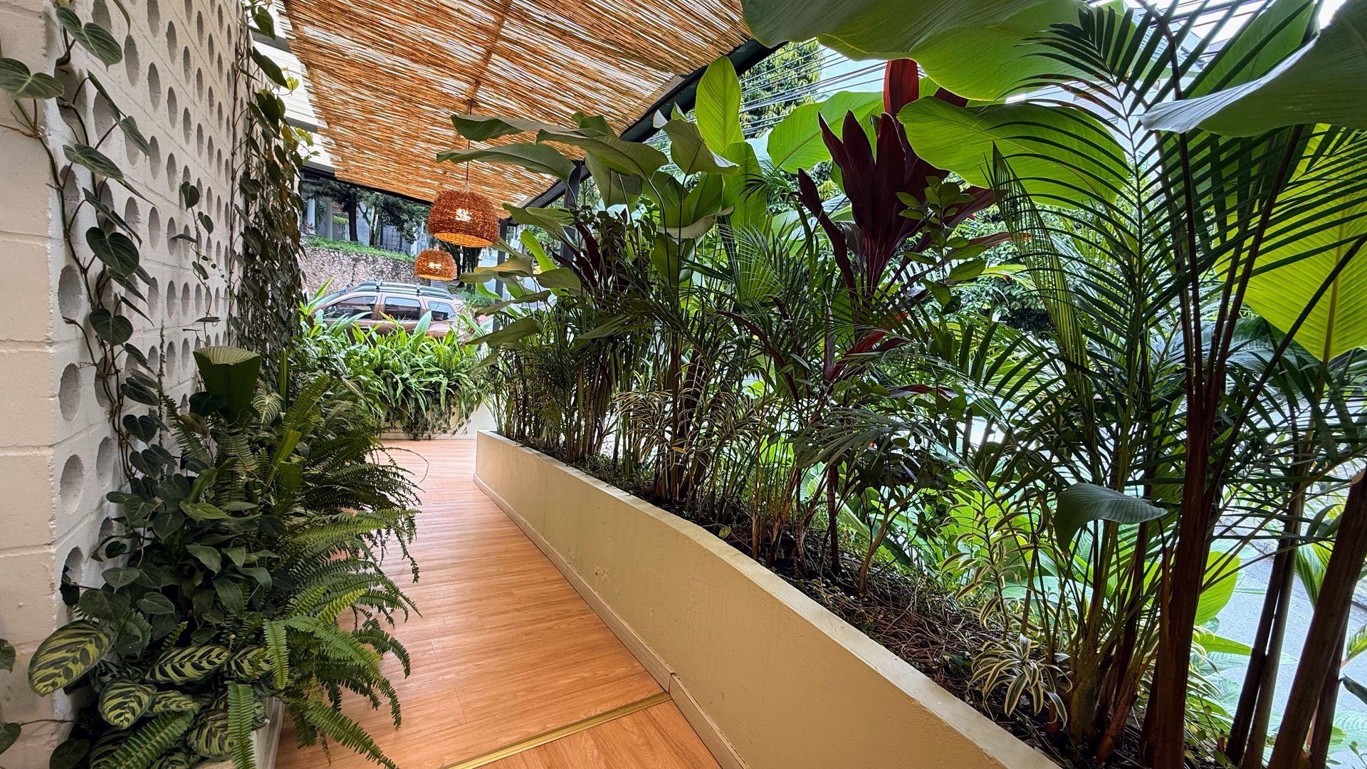Camino bordeado de exuberantes plantas verdes, pared de ladrillos con enredaderas y techo tejido.