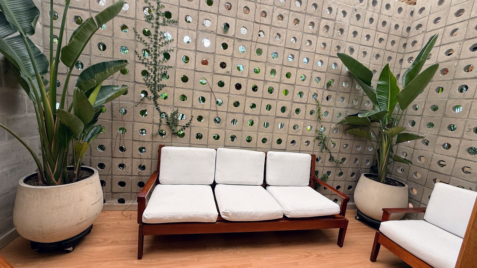 Zona de estar al aire libre con cojines blancos, muebles de madera y plantas en macetas contra una pared texturizada.