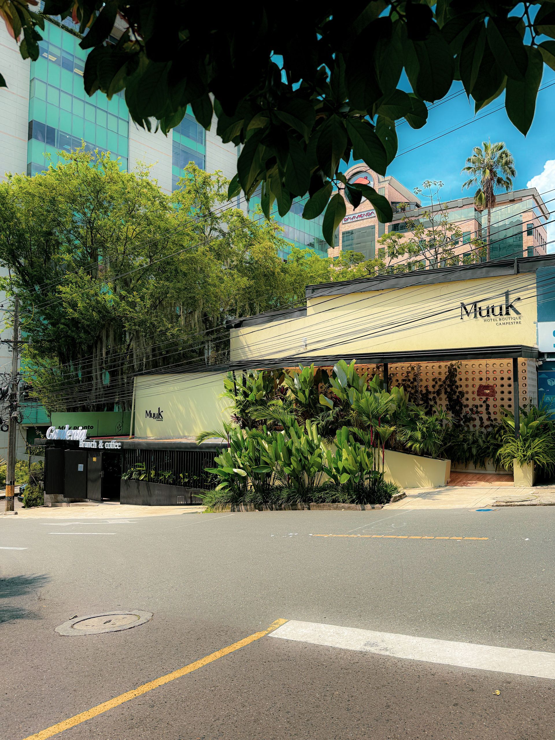 Vista de la calle de un edificio amarillo claro con un letrero y exuberante vegetación. Se ven el cielo y otros edificios.
