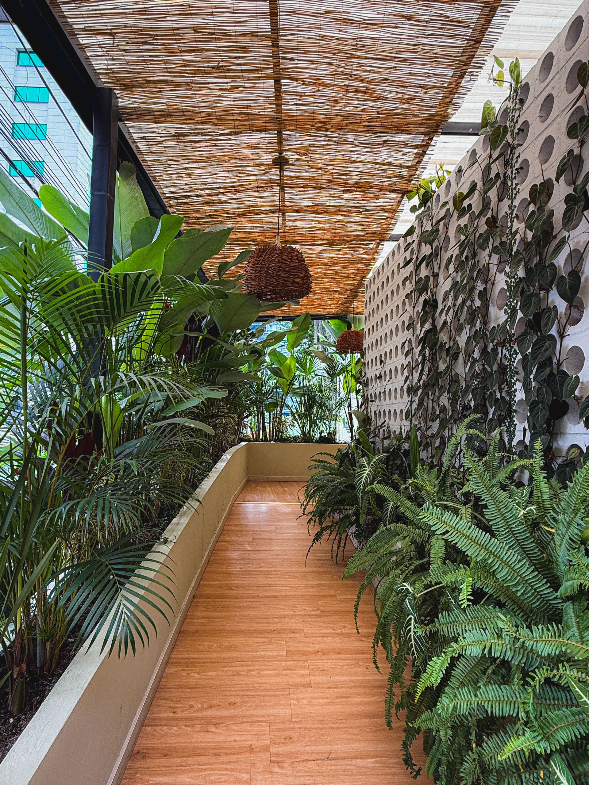 Un camino de madera a través de un exuberante jardín verde con un dosel texturizado y una pared estampada.